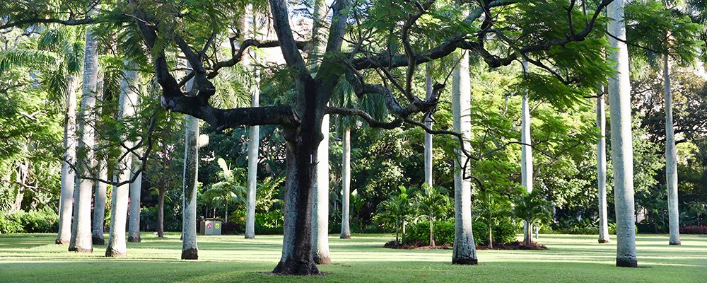 The River City Brisbane - Queensland - Australia - The Wise Traveller - Brisbane