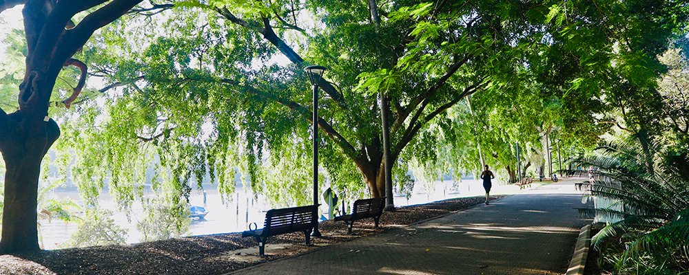 The River City Brisbane - Queensland - Australia - The Wise Traveller - Brisbane