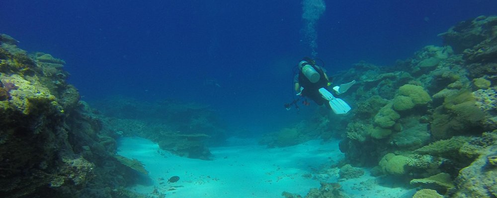 The Rock Islands of the Republic of Palau - The Wise Traveller - Diving
