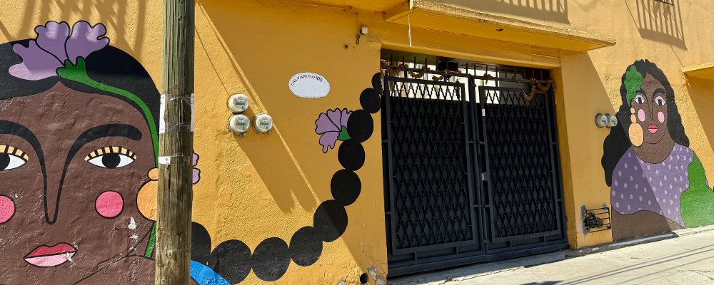 The Soul of Mexico - Oaxaca City - The Wise Traveller - IMG_5229