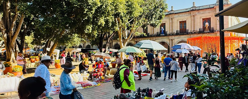 The Soul of Mexico - Oaxaca City - The Wise Traveller - IMG_5750