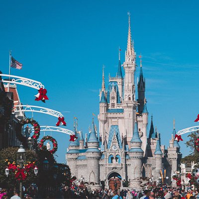 Things To Avoid When Visiting the United States - The Wise Traveller - Disneyland