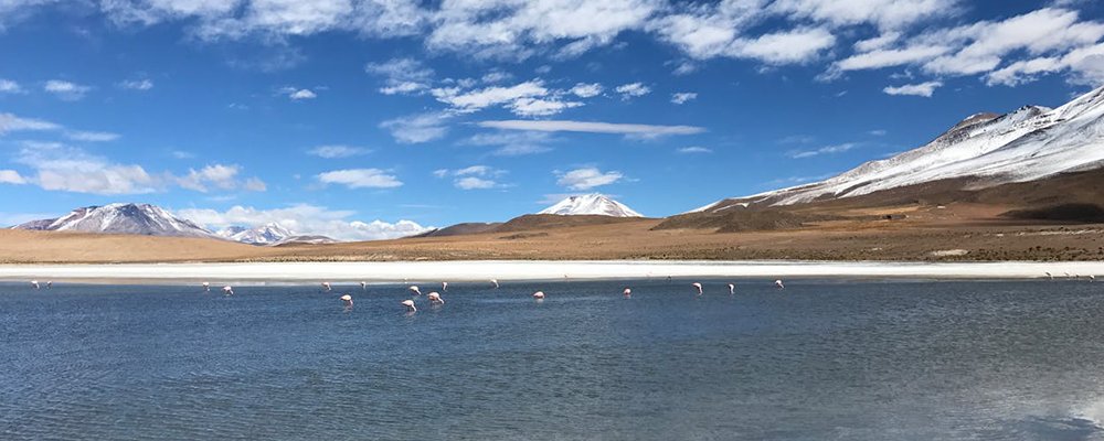 This Extraordinary Earth  Natural Visions - Part 1 - The Wise Traveller - Salar de Uyuni, Bolivia