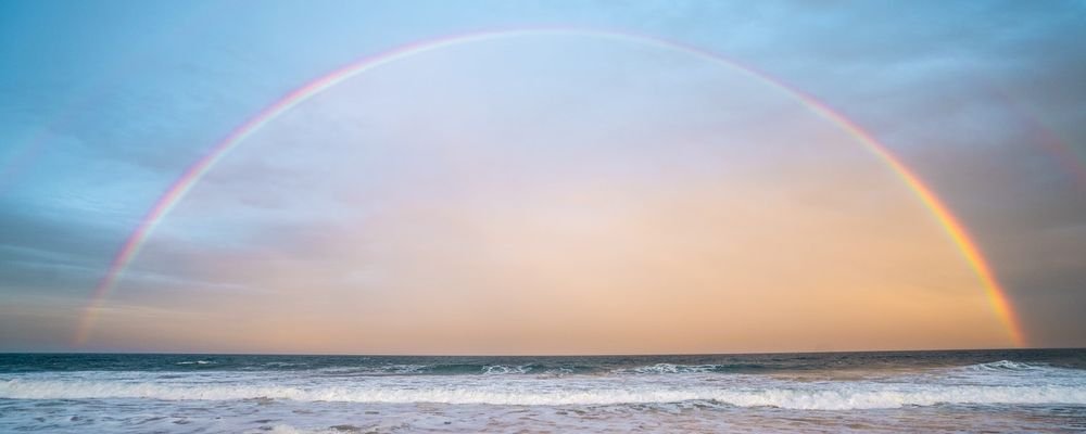 Timeless Travellers - The Wise Traveller - Rainbow