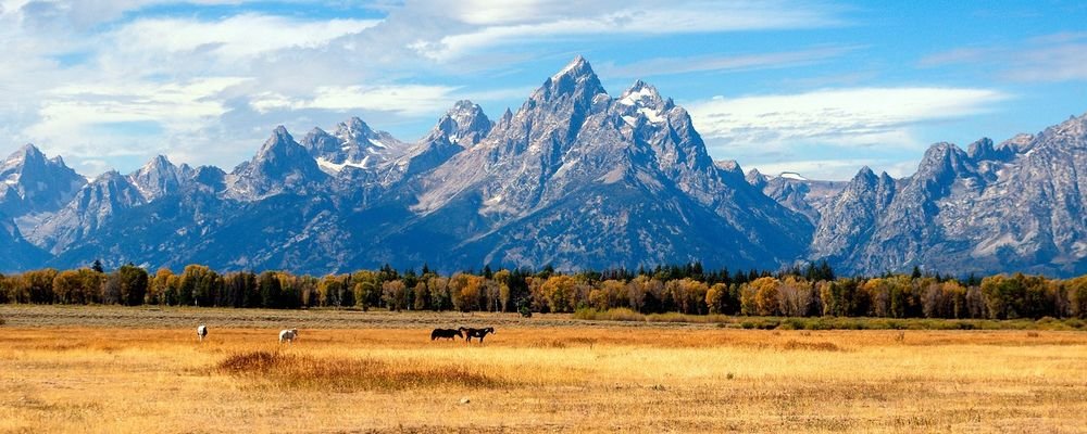 Top Ten National Parks in the U.S.A. - The Wise Traveller - Grand Teton