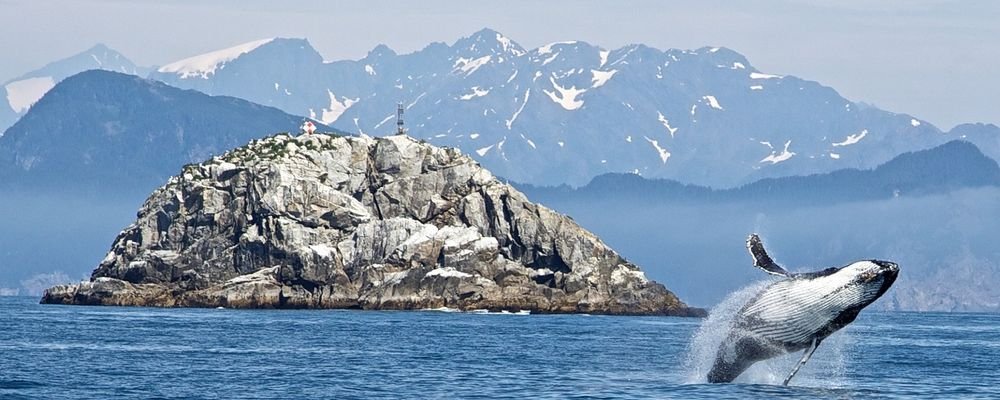 Top Ten National Parks in the U.S.A. - The Wise Traveller - Kenai Fjords