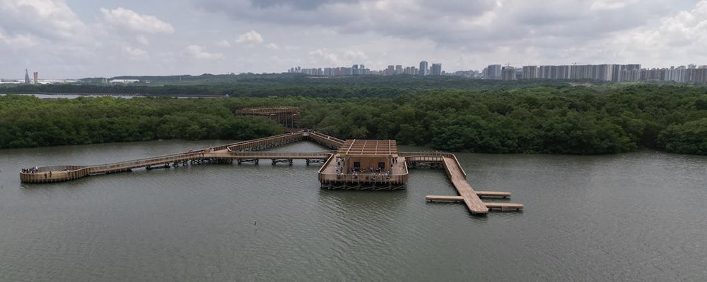 Top Trending Destinations For 2026 - The Wise Traveller - Barranquilla