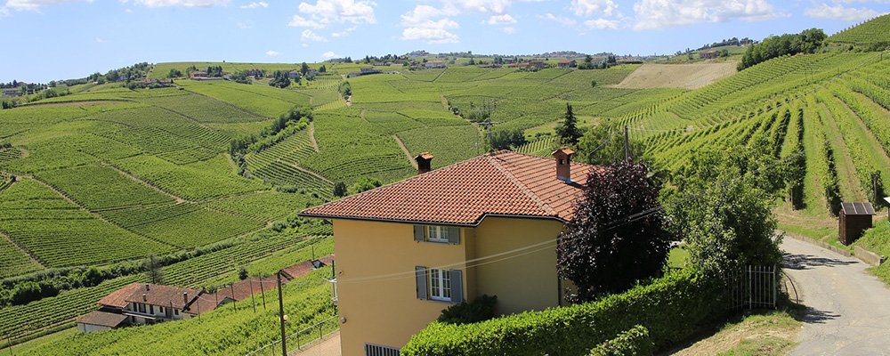 Travel to Savor European Cult Wines - The Wise Traveller - Piedmont