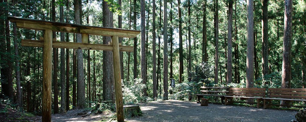 Trek Where the Samurai Trod - The Nakasendo Way, Japan - The Wise Traveller - Tori gate