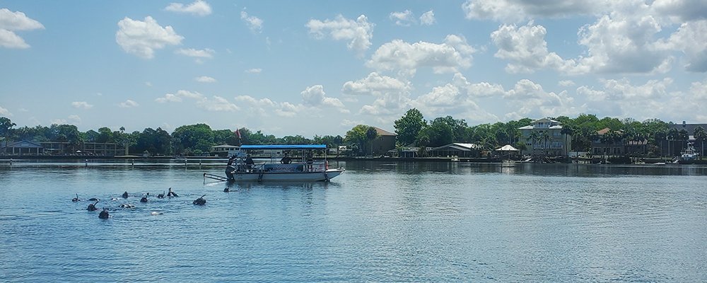 Ultimate Guide to Exploring Crystal River by Boat - The Wise Traveller - Crystal River Preserve