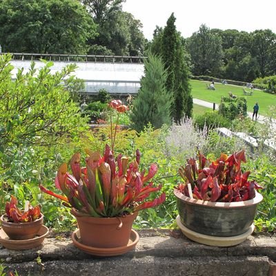 Unique Stops in New York City for History Buffs - The Wise Traveller - Wave Hill Gardens