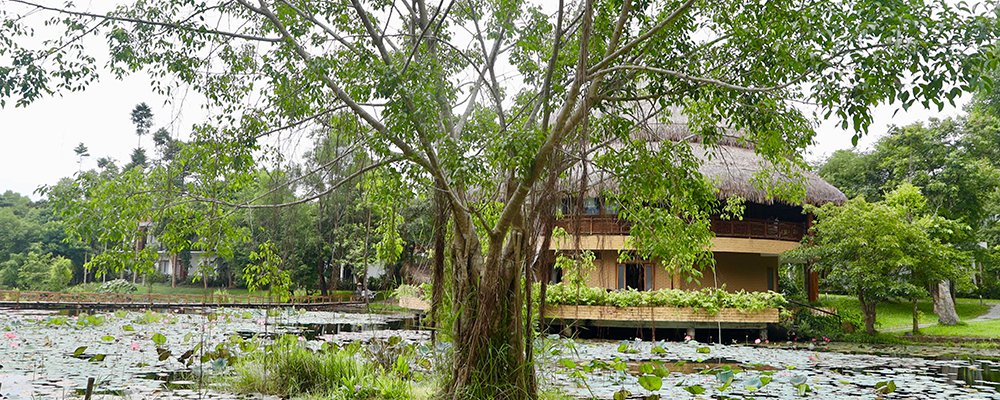 Where Bodies Sigh in Relief - Alba Wellness Valley by Fusion - Hue, Vietnam - The Wise Traveller - Cottage