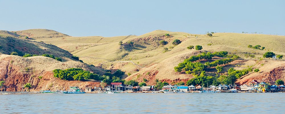 Where Lizards Rule - Komodo National Park - Indonesia - The Wise Traveller - Labuan Bajo