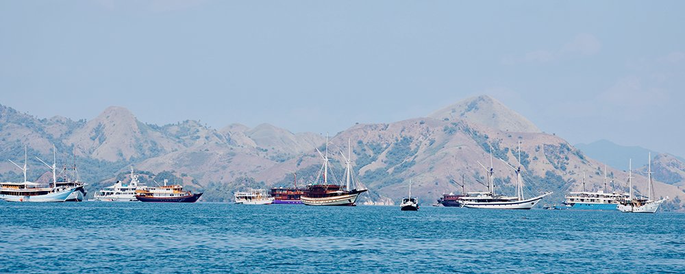 Where Lizards Rule - Komodo National Park - Indonesia - The Wise Traveller - Pink Beach