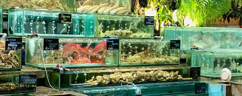 Where To Eat - Georgetown Penang - Restaurants - The Wise Traveller - Bali Hai