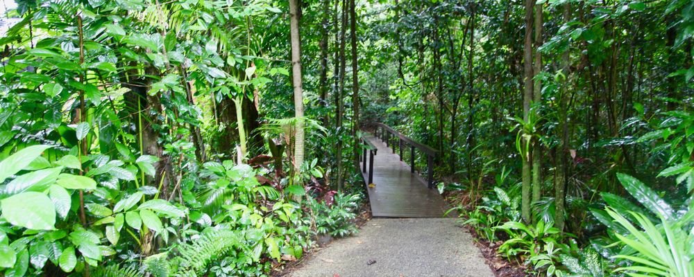 Where you can hear the Rainforest's Heartbeat - Daintree Eco Lodge - Mossman, Queensland - The Wise Traveller - IMG_7915