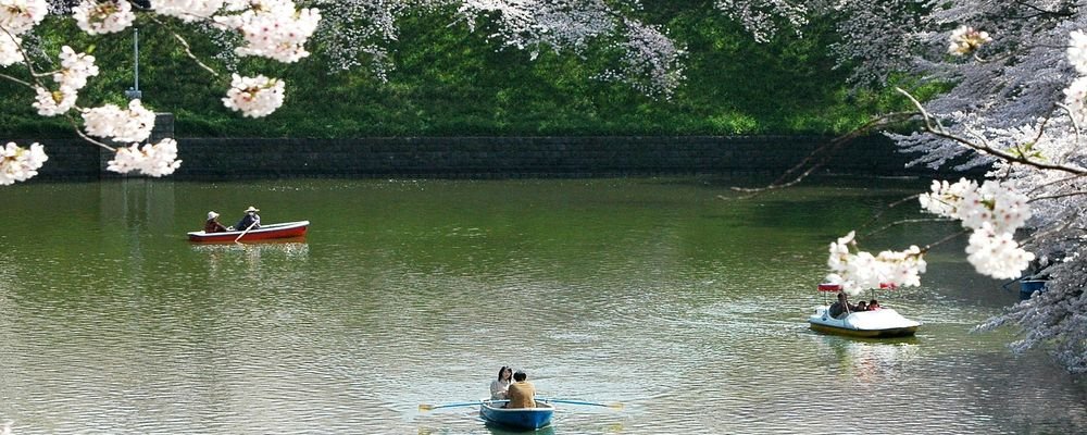 Which Destinations Will Pay for You to Visit Post-pandemic - The Wise Traveller - Cherry Blossoms