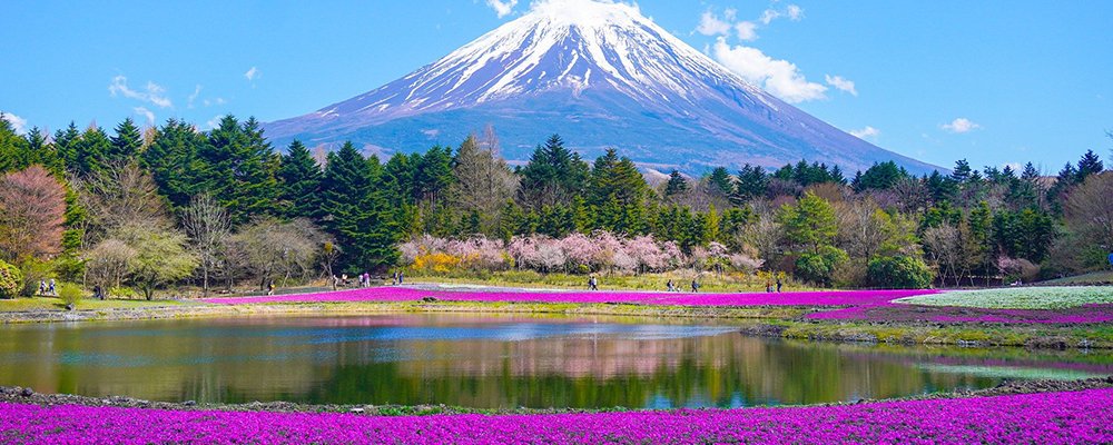 Why Spring is the Best Time To Travel - The Wise Traveller - Spring Flowers