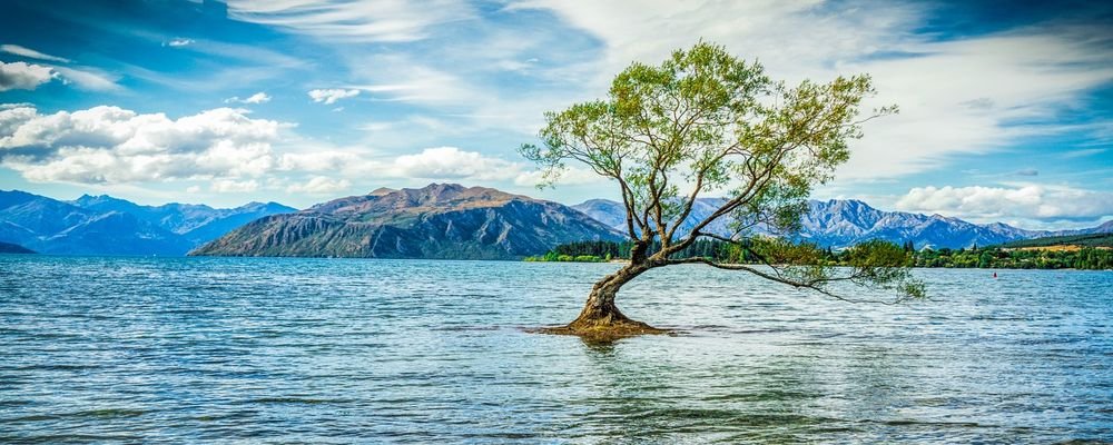 Why You Shouldn't Geo-tag Your Travel Locations on Instagram - The Wise Traveller - Wanaka