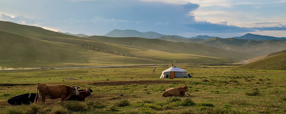 Wild Big Skies and Empty Spaces - The Wise Traveller - Mongolia
