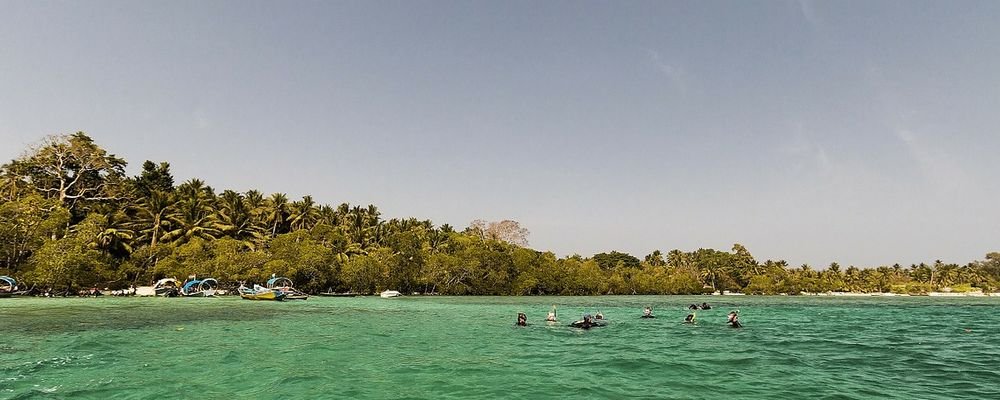 Wishing for Dreamy Islands - The Wise Traveller - Havelock Island