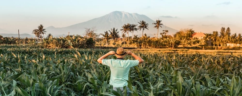 X ways to enjoy the great outdoors when travelling - The Wise Traveller - Walk rural